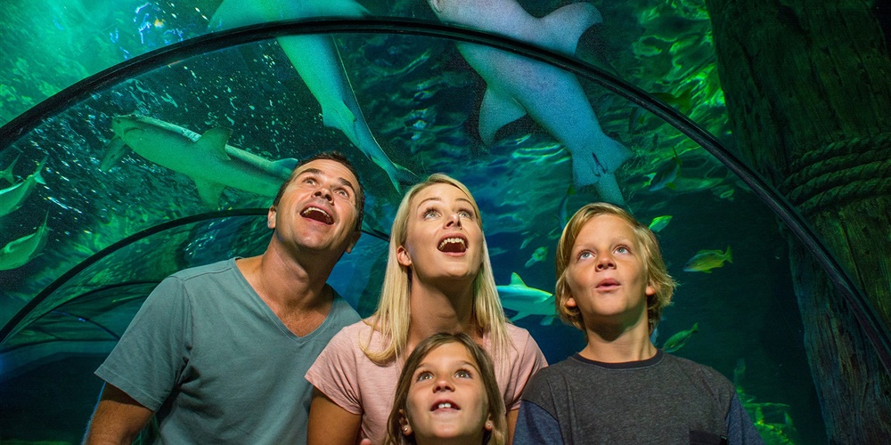 Kelly Tarlton’s Sea Life Aquarium